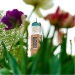 A carillon tower is photographed through colorful purple, pink and white flowers.